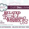 sue wilson craft die mini expressions belated birthday wishes