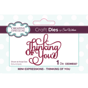 Sue Wilson Mini Expressions Collection Thinking of You