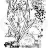 woodware stamp vintage iris
